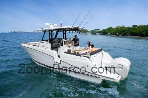 Jeanneau Cap Camarat 10.5 CC ficha tecnica 